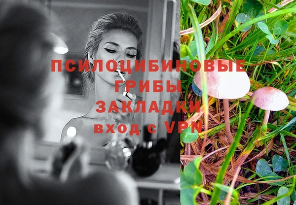 дурь Липки
