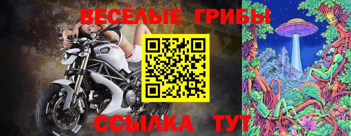 Псилоцибиновые грибы прущие грибы Людиново