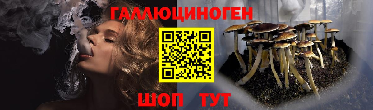 Людиново  Псилоцибиновые грибы Magic Shrooms  Вход с VPN  Псилоцибиновые грибы MAGIC MUSHROOMS 